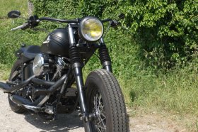 Custom Bike