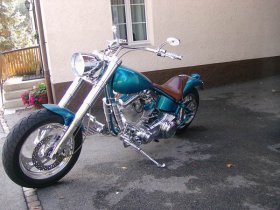 Custom Bike