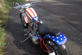 Custom Bike
