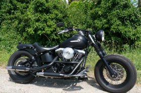 Custom Bike