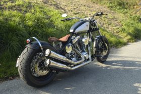 Custom Bike