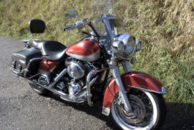 Custom Bike