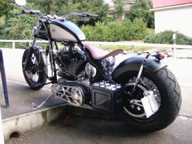 Custom Bike