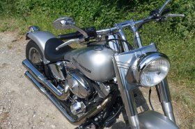 Custom Bike