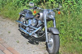 Custom Bike