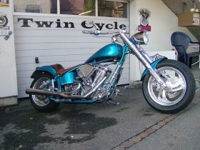 Custom Bike