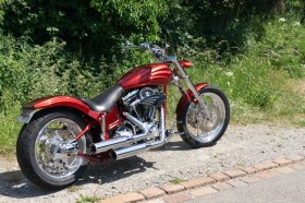 Custom Bike