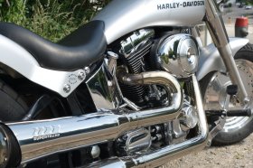 Custom Bike